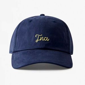 NWT Aritzia TNA Baseball Hat
